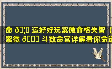 命 🦋 运好好玩紫微命格失智（紫微 🐒 斗数命宫详解看你命运如何）